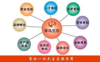 笨鳥生態(tài) 深圳餐飲咨詢與顧問領(lǐng)域的創(chuàng)新飛翔